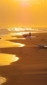 windsurfing sunset