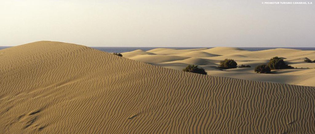 Gran Canaria Gran Canaria