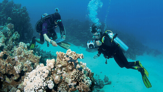 Mövenpick Resort Sharm El Sheikh
