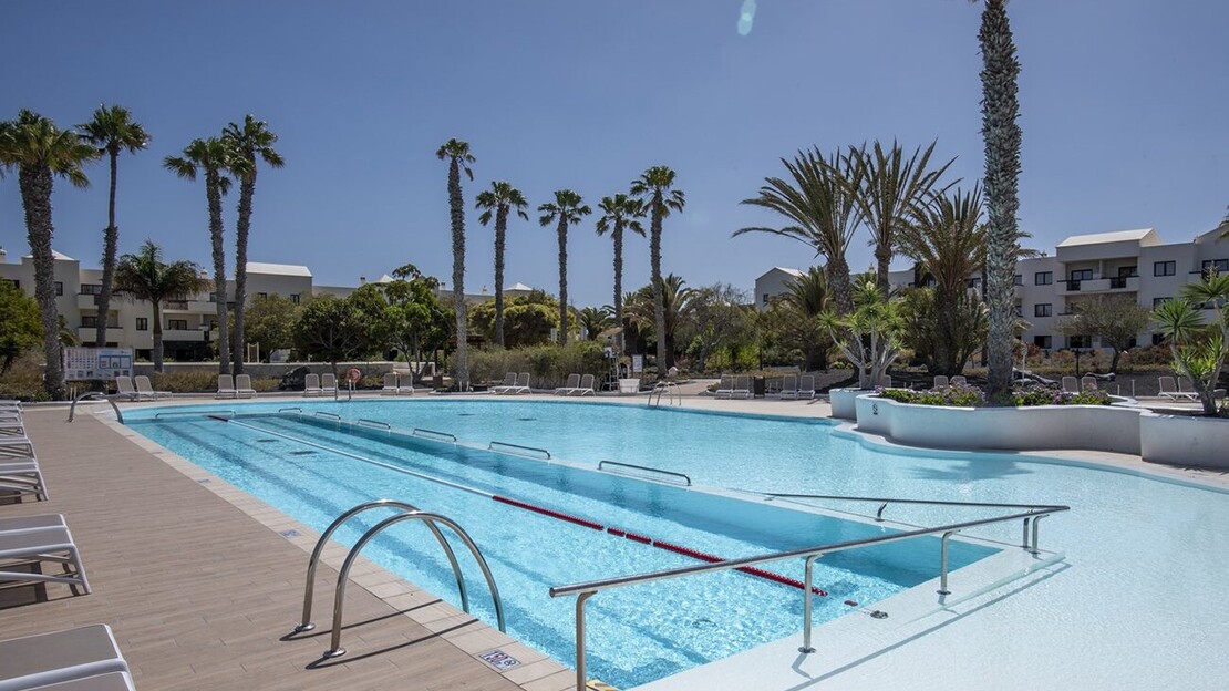 Los Zocos Impressive