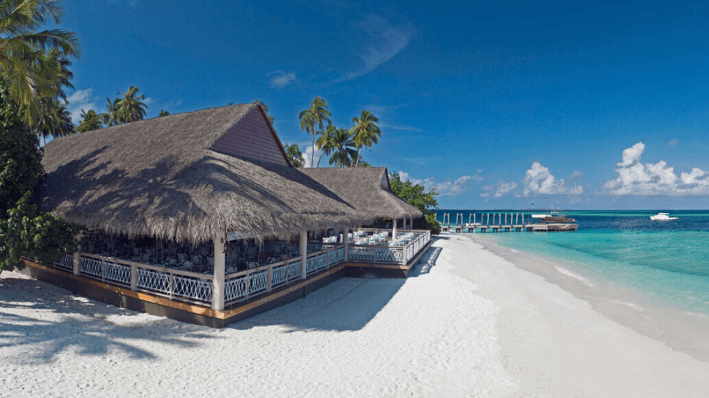 Malahini Kuda Bandos 