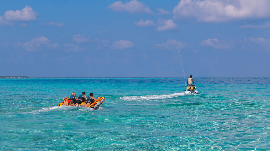 Malahini Kuda Bandos 