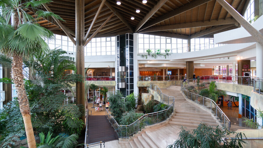 Hotel Flamingo Oasis