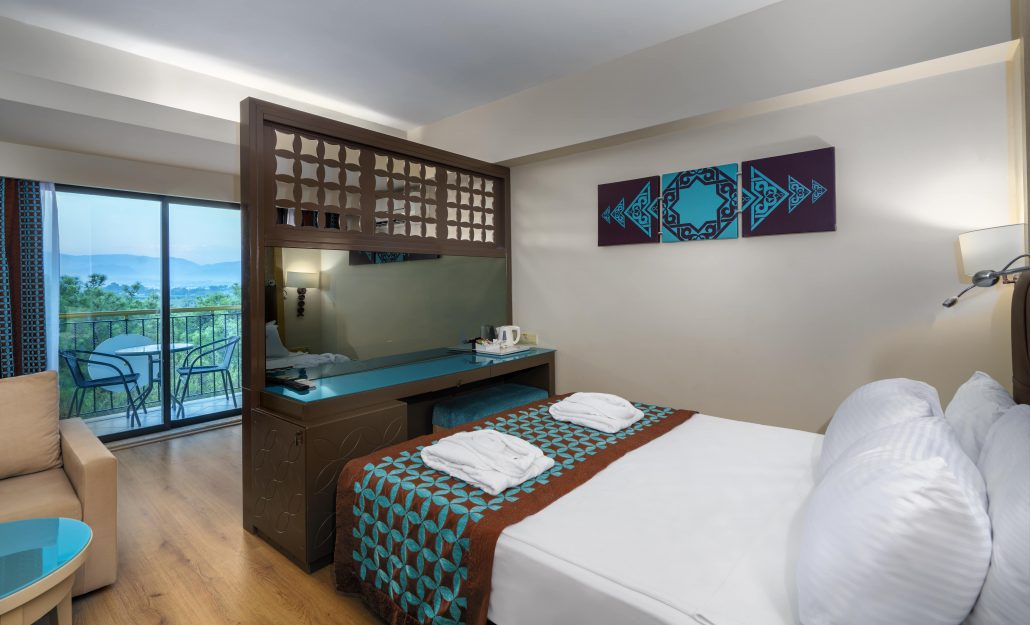 Standard Panoramic Room