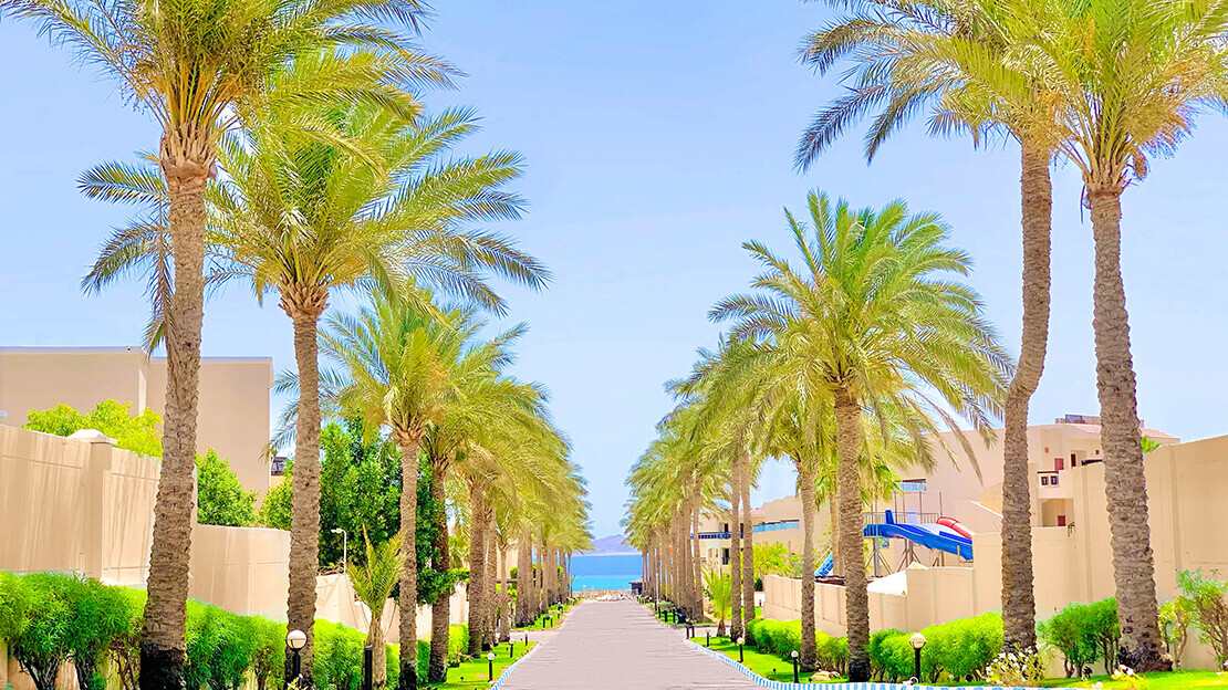 Ivy Cyrene Island Resort