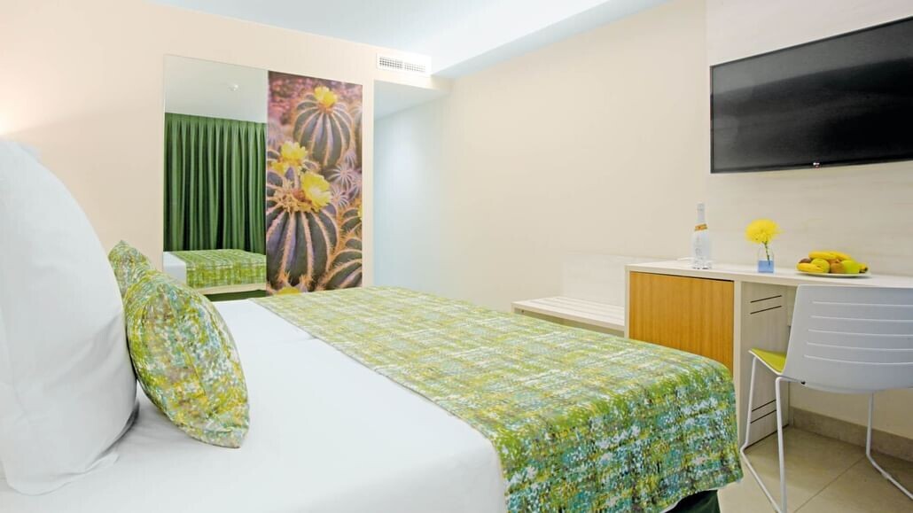 Lemon & Soul Cactus Garden