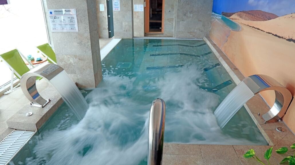 Lemon & Soul Cactus Garden