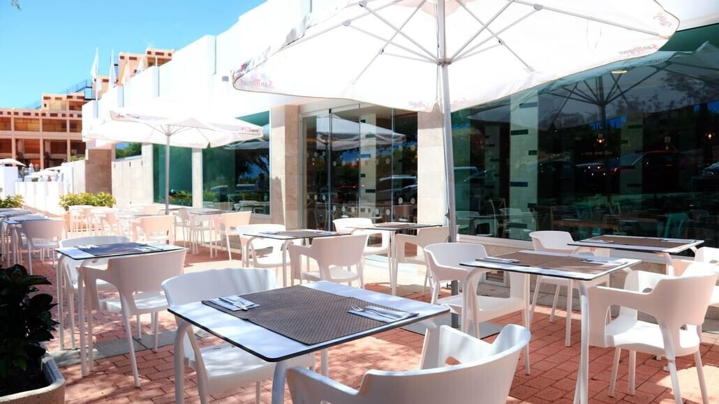 Lemon & Soul Cactus Garden