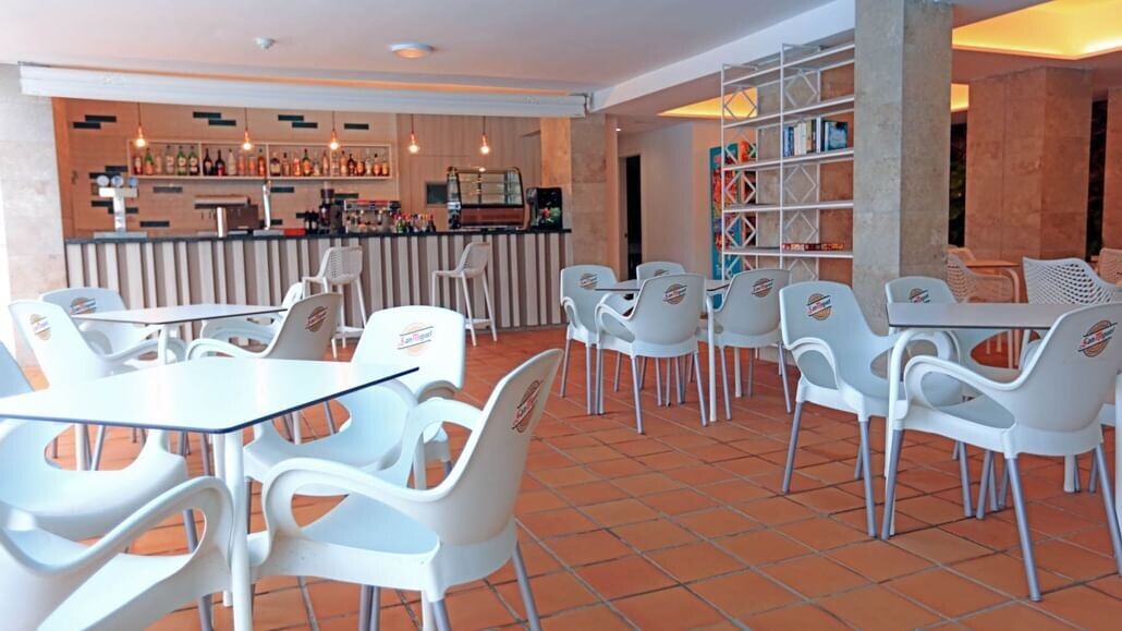 Lemon & Soul Cactus Garden