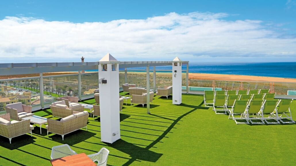 Lemon & Soul Cactus Garden