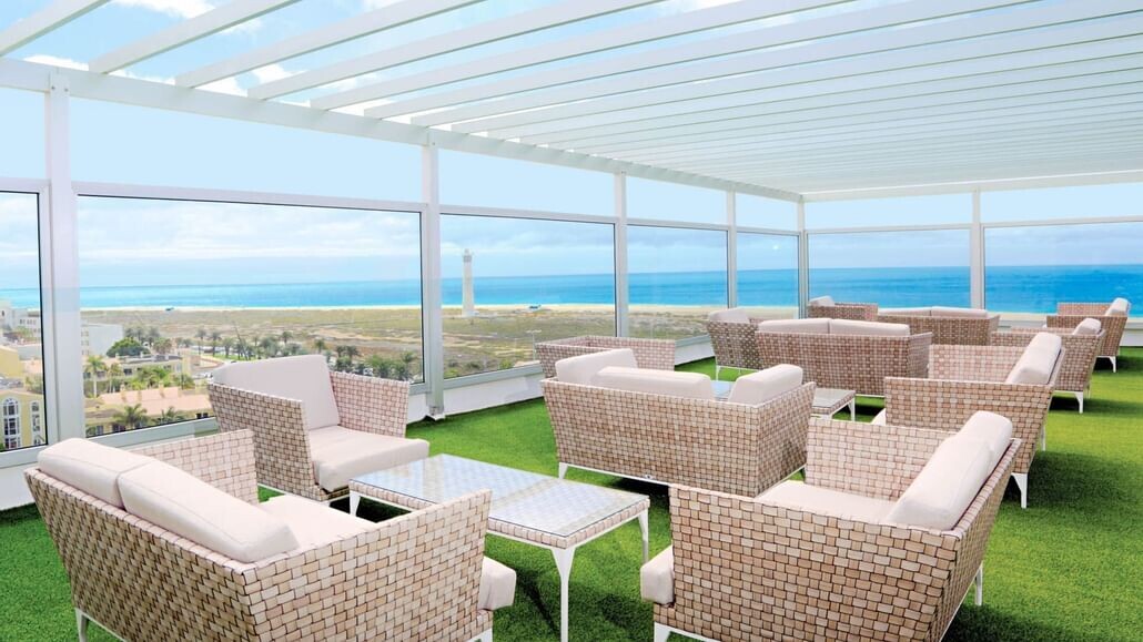 Lemon & Soul Cactus Garden