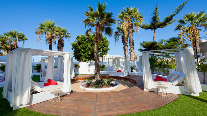 Tigotan Lovers and Friends