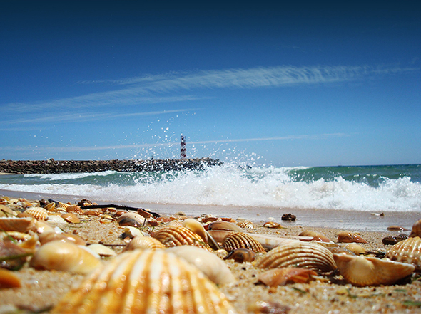 Beach in the Algarve