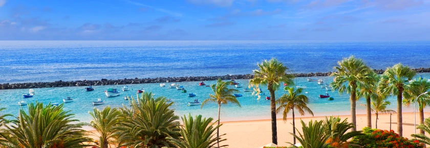 Canaries