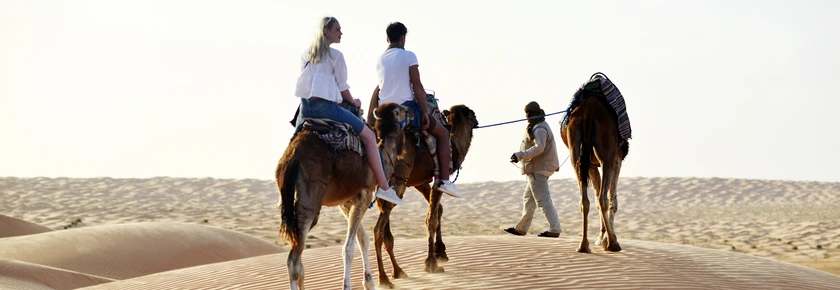 Tunisia Desert