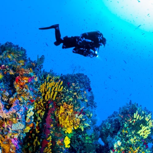 Malta Scubadiving