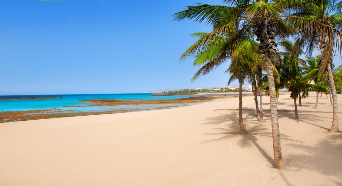 playa reducto arrecife lanzarote